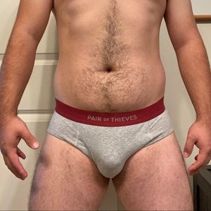 Pair of Thieves briefs